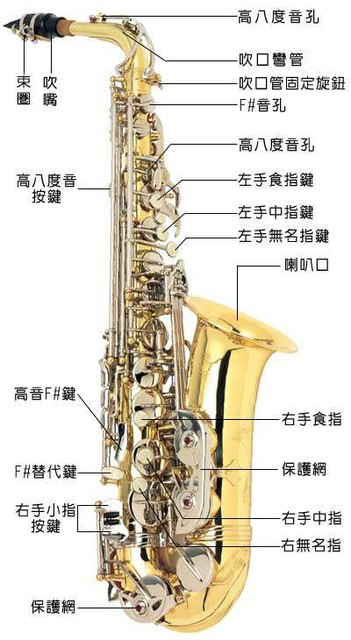 薩克斯結構